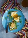 Eggs Benedict on toasted bread with herbs Royalty Free Stock Photo