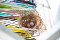 2 eggs in Bird nest clinging coat hangers, Close up and macro  shot, Biology life concept Royalty Free Stock Photo