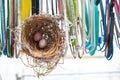 2 eggs in Bird`s nest clinging coat hangers, Close up shot, Biology life concept Royalty Free Stock Photo