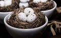 Eggs in Birds Nest in decorative white dish. Three Quail Easter Eggs with rustic look