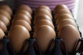 Eggs in a black plastic container on background. Royalty Free Stock Photo