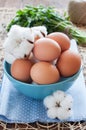 Eggs in blue bowl and cotton flowers Royalty Free Stock Photo