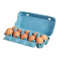 Eggs in a blue cardboard box Royalty Free Stock Photo