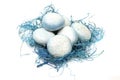Eggs in blue nest