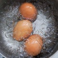 Eggs in boiling water Royalty Free Stock Photo