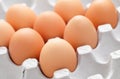 Eggs in box Royalty Free Stock Photo