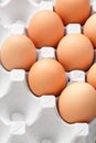 Eggs in box Royalty Free Stock Photo