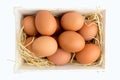 Eggs in box with straw isolated on white background. Top view, rustic concept. Only from the chicken coop Royalty Free Stock Photo