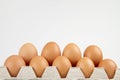 Eggs in box on white background