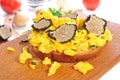 Eggs on bread with grated summer truffle Royalty Free Stock Photo