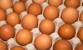 Eggs are broiler eggs. Royalty Free Stock Photo