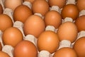 Eggs are broiler eggs. Royalty Free Stock Photo