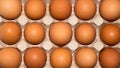 Eggs are broiler eggs. Royalty Free Stock Photo