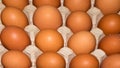 Eggs are broiler eggs. Royalty Free Stock Photo