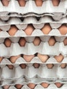 Eggs Royalty Free Stock Photo