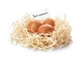 Eggs and card with word RETIREMENT in nest on white background Royalty Free Stock Photo