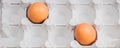 eggs in a cardboard box friends Royalty Free Stock Photo