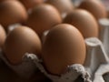 Eggs in cardboard cells. close-up. Royalty Free Stock Photo