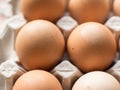 Eggs in cardboard cells. close-up. Royalty Free Stock Photo