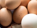 Eggs in cardboard cells. close-up. Royalty Free Stock Photo