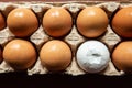 Eggs in a cardboard egg tray, broken egg, not like everyone else, concept, close up Royalty Free Stock Photo