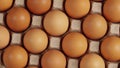 Eggs in cardboard, rotation shot