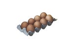 Eggs in a cardboard tray on a white background Royalty Free Stock Photo