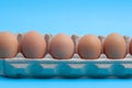 Eggs in carton on blue background.