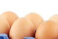 Eggs in carton box Royalty Free Stock Photo