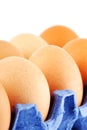 Eggs in carton box Royalty Free Stock Photo