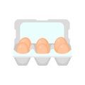 Eggs in carton box on a white background. Royalty Free Stock Photo