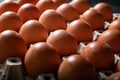Eggs carton with chicken egg lined up in rows Royalty Free Stock Photo