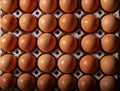 Eggs carton with chicken egg lined up in rows Royalty Free Stock Photo