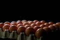 Eggs carton with chicken egg lined up in rows Royalty Free Stock Photo