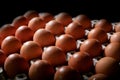 Eggs carton with chicken egg lined up in rows Royalty Free Stock Photo