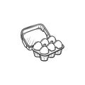 Eggs in carton pack hand drawn sketch icon.