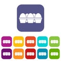 Eggs in carton package icons set