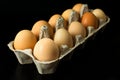 Eggs in carton for storing and transporting chicken eggs isolated on a black background Royalty Free Stock Photo