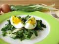 Eggs on chard vegetables Royalty Free Stock Photo