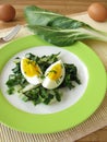 Eggs on chard vegetables Royalty Free Stock Photo