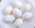 Eggs chicken egg hen-eggs poultry white layer hen fowleggs anda oeuf ei uovo heuvo food closeup view image stock photo Royalty Free Stock Photo