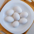 Eggs chicken egg hen-eggs poultry white layer hen fowleggs anda oeuf ei uovo heuvo food closeup view image stock photo Royalty Free Stock Photo