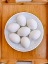 Eggs chicken egg hen-eggs poultry white layer hen fowleggs anda oeuf ei uovo heuvo food closeup view image stock photo Royalty Free Stock Photo