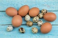 Eggs chicken, quail isolated on wooden background. Copy space for text. Top view.