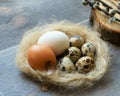 Eggs of chicken and quail