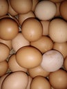 Eggs chickens farm