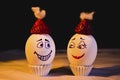 Eggs in chrismass mood with love for each other