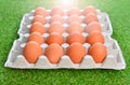 Eggs close-up. Big brown chicken eggs in a eggs box. Royalty Free Stock Photo