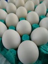 Eggs close up