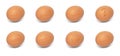 Eggs Collection with engraved Royalty Free Stock Photo